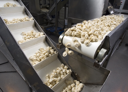 Dehumidification for Food Processing: Why it Matters