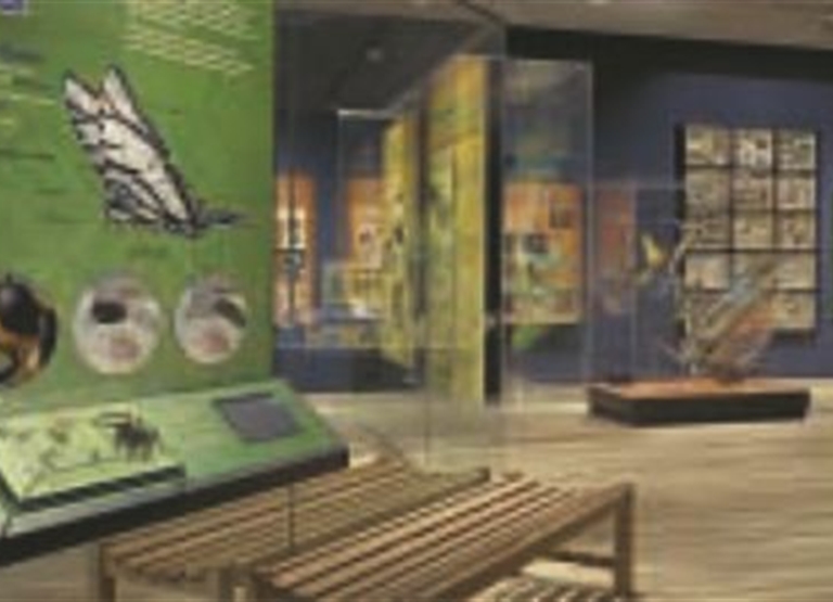 Condair Humidifies a World of Butterflies