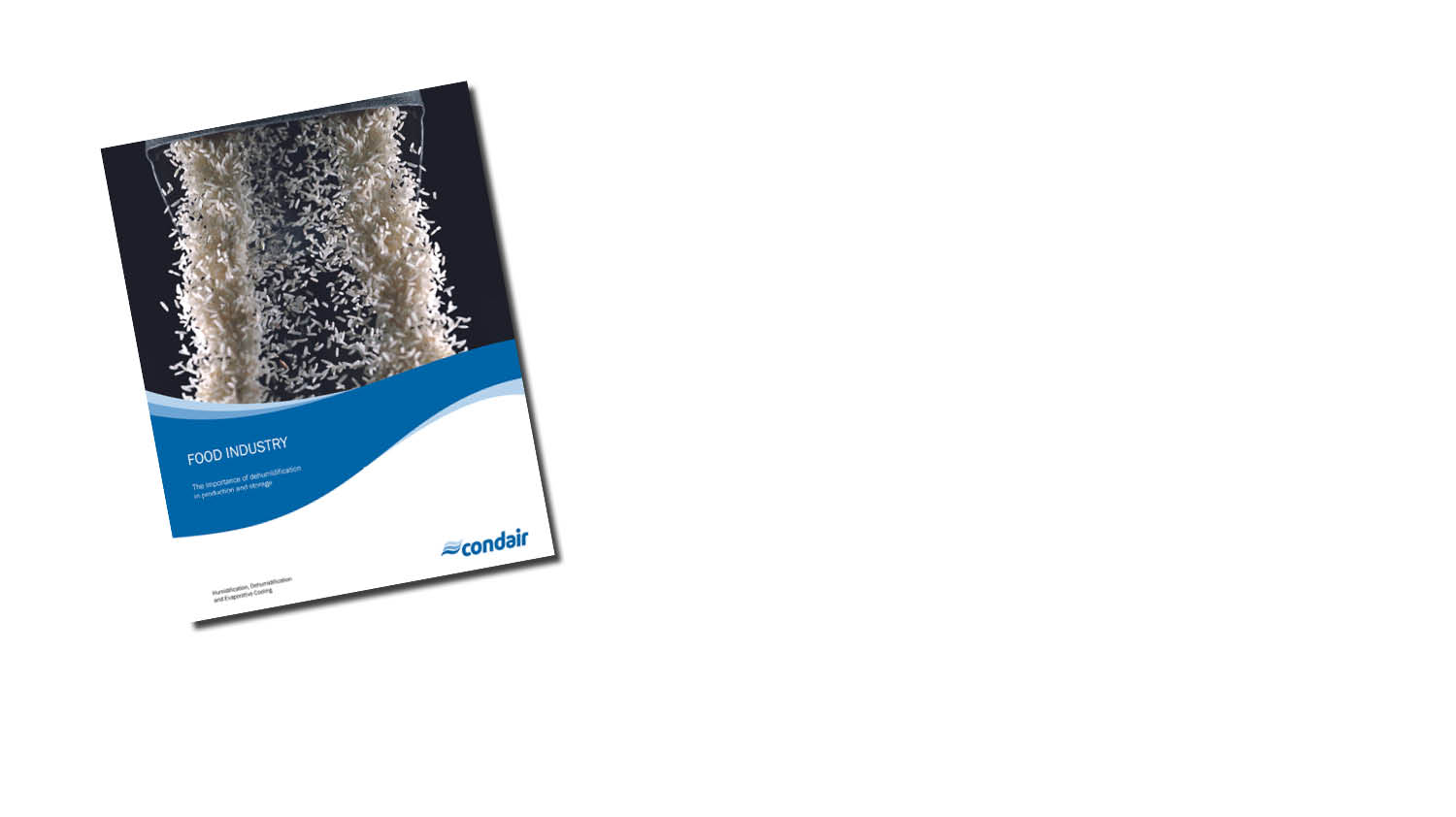 Download our Humidity Control for Food Processing today!