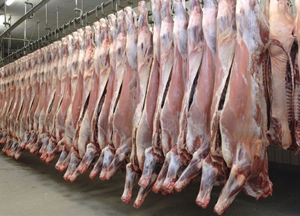 Why Humidify... For Abattoir 