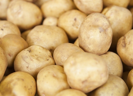 Why Humidify... For Crop Storage