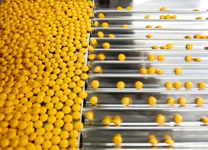 Why Humidify... For Pharmaceutical Manufacturing 