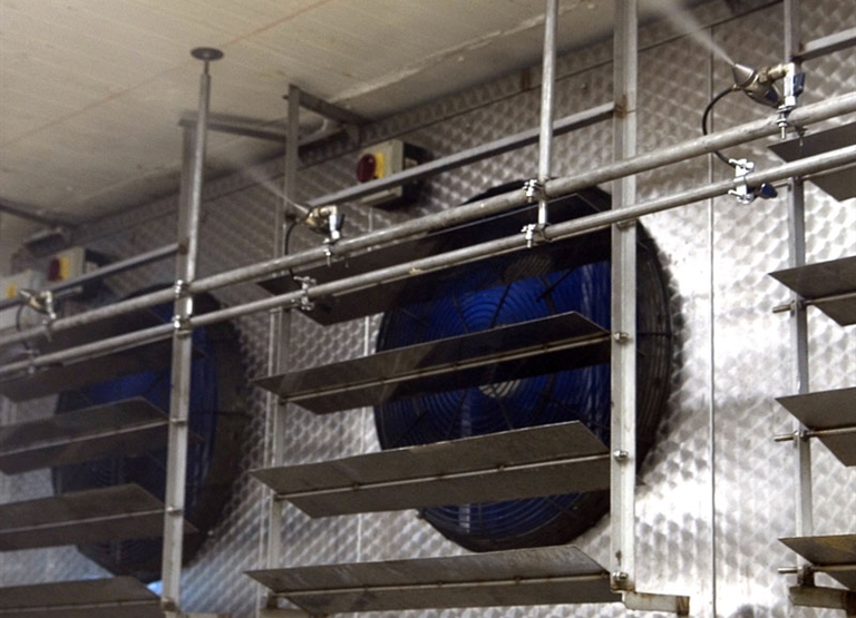 Humidifier Makes Fish Factory $1M Per Year