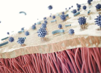 Immune Systems