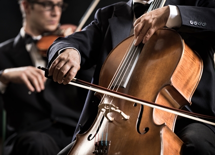 What’s the Best Humidity Level for Musical Instruments?