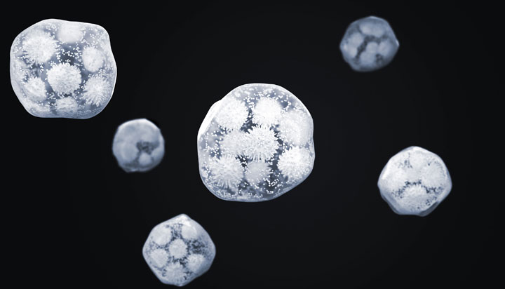 infectious droplets becoming dry due to low humidity