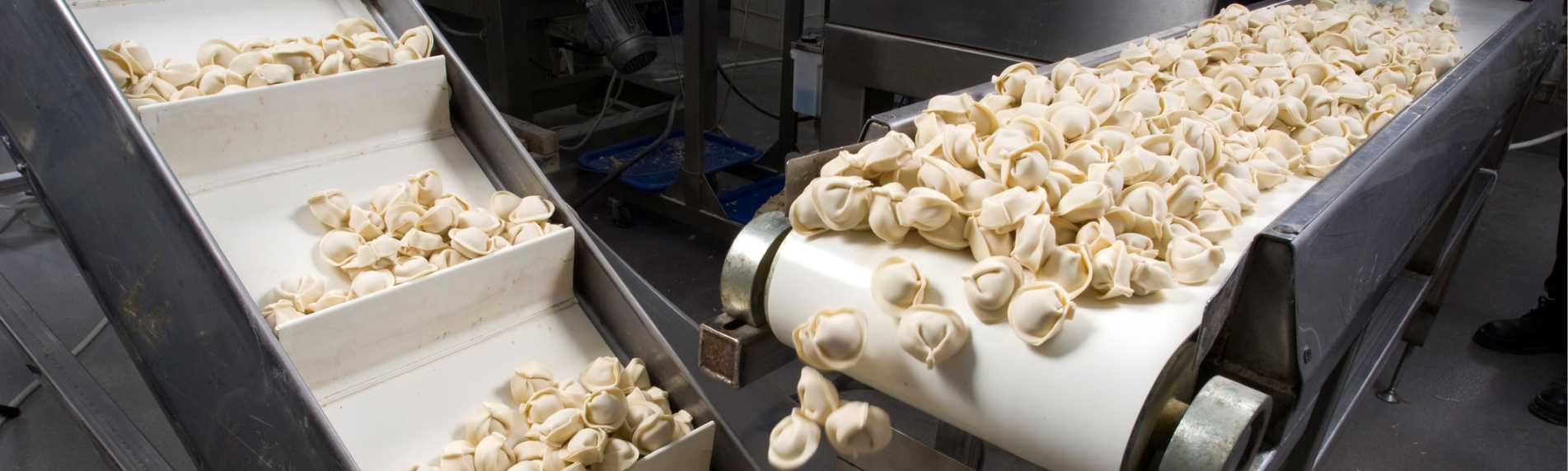 Humidifying a Food Processing Plant for Pasta
