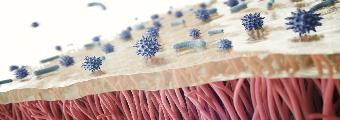 Rendering of viruses and bacteria interacting with the immune system