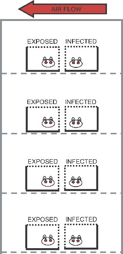 Exposed and infected chart with airflow