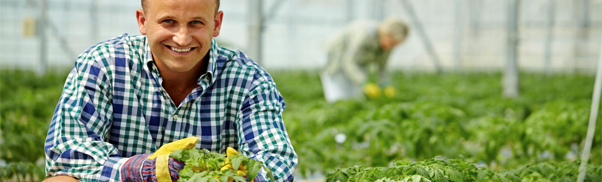 Humidity control for greenhouses