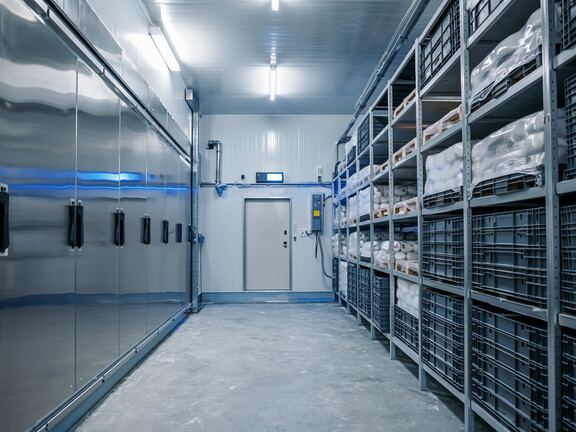 Cold storage room with shelving